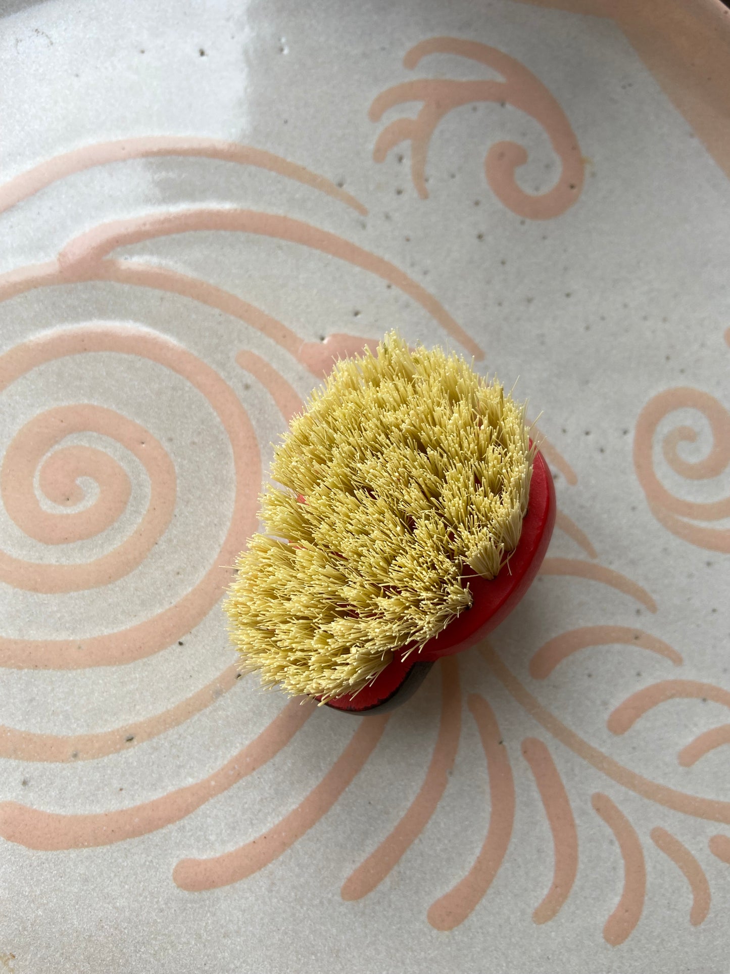 Ladybug scrubber brush