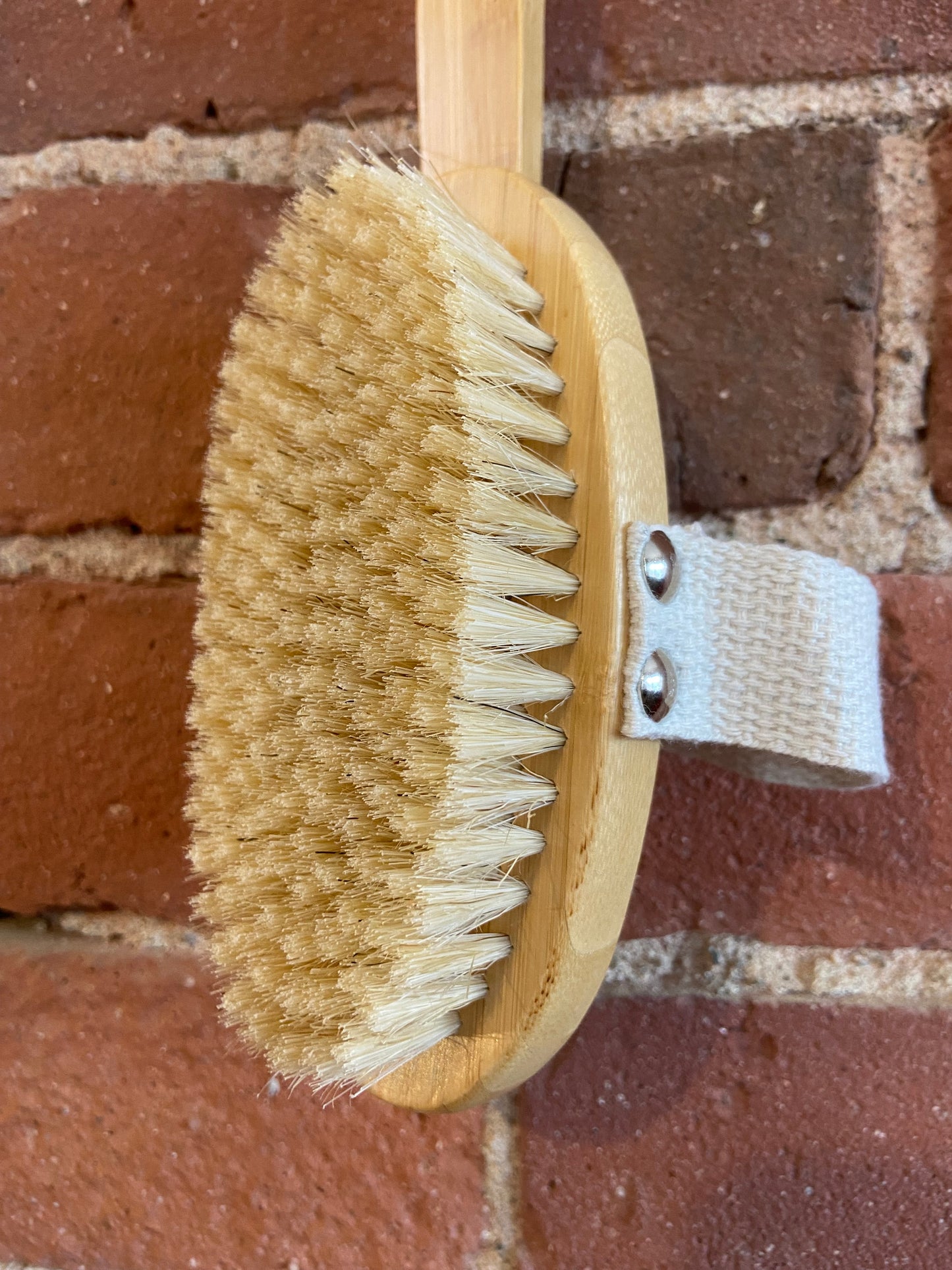 Long handle wooden body brush