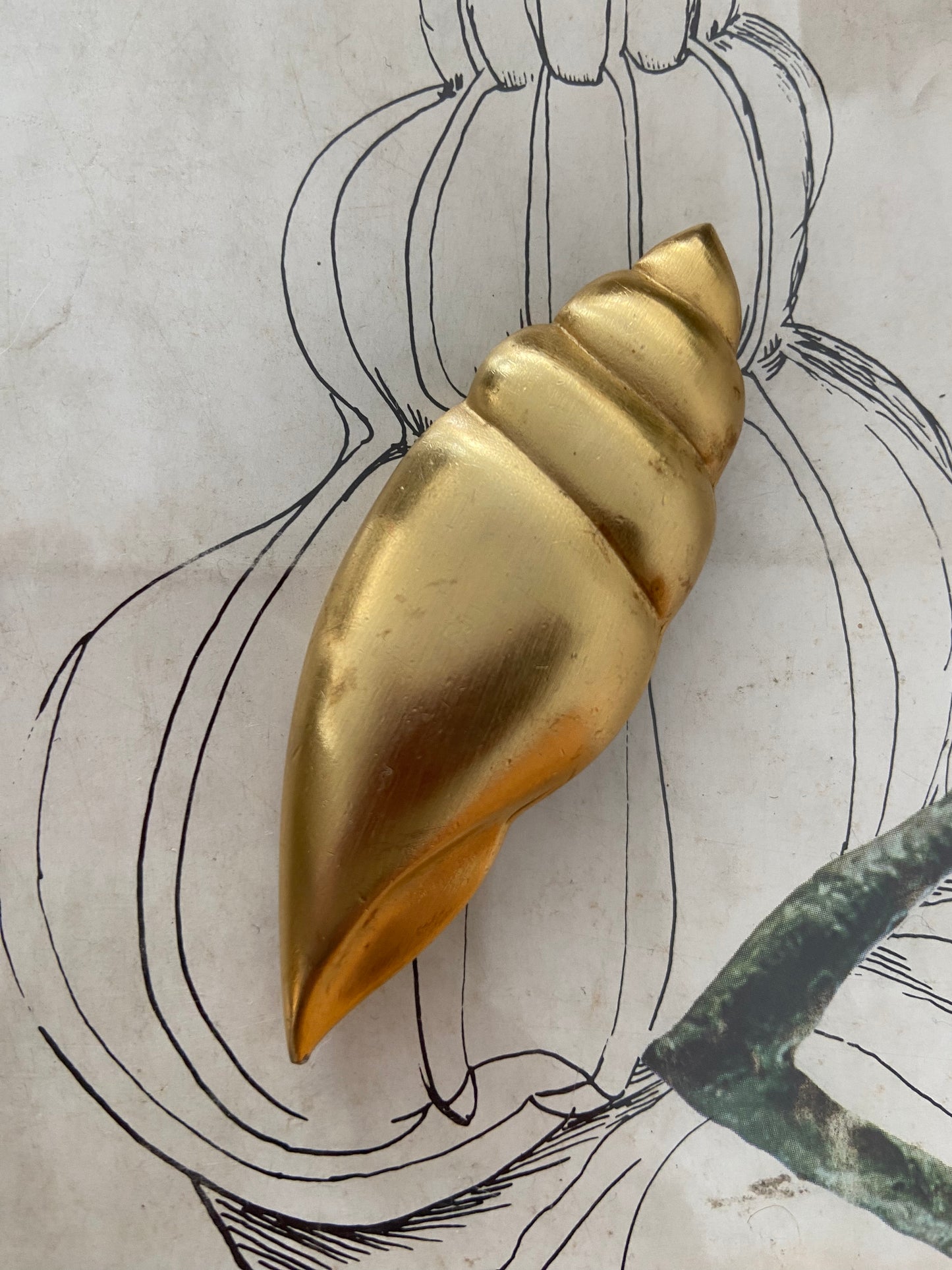 Vintage brass seashell pin