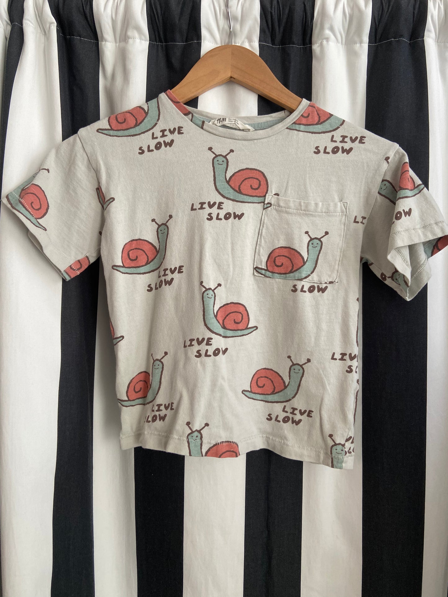 Little. Ones snail t-shirt size 6/7