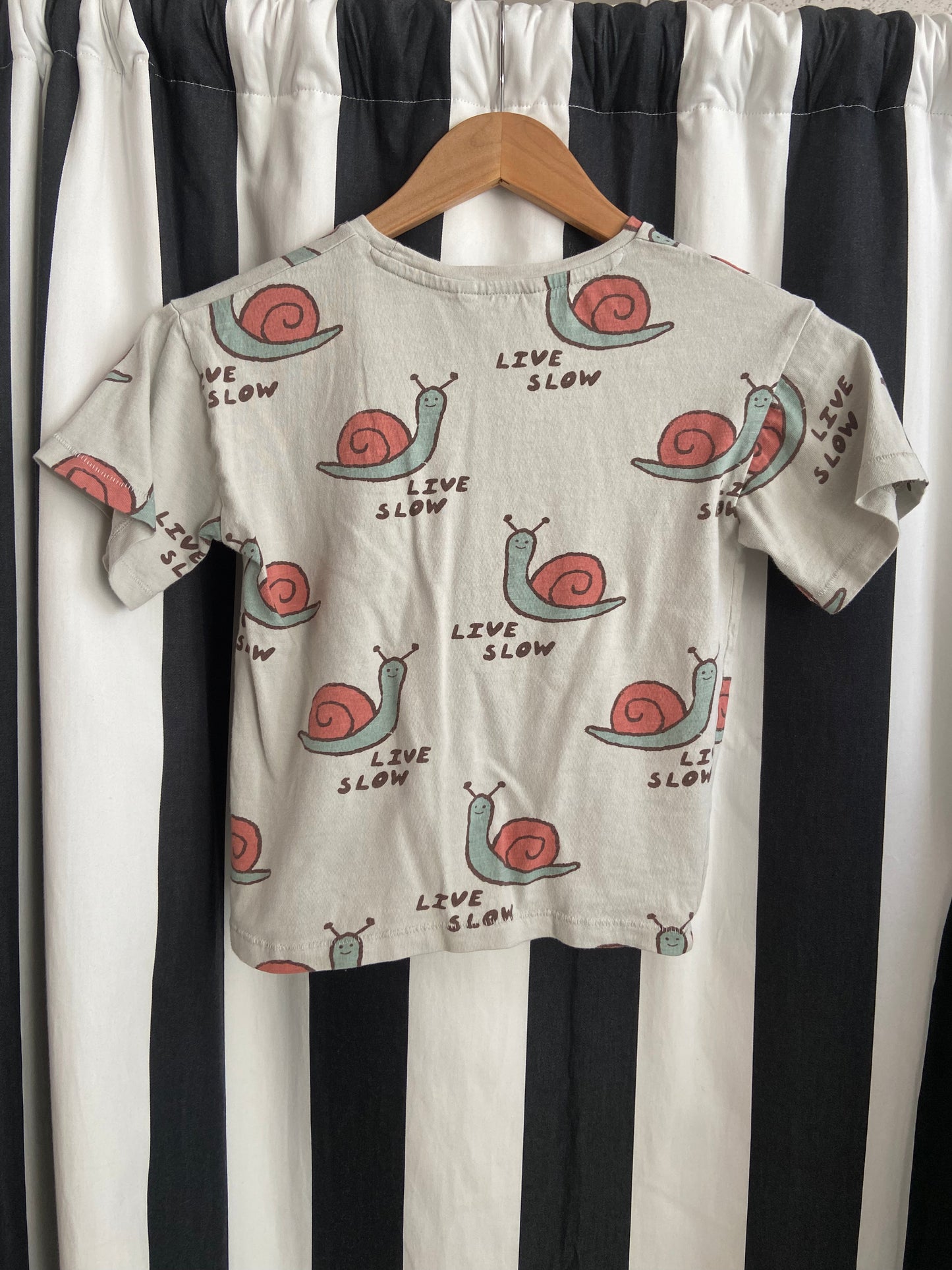 Little. Ones snail t-shirt size 6/7