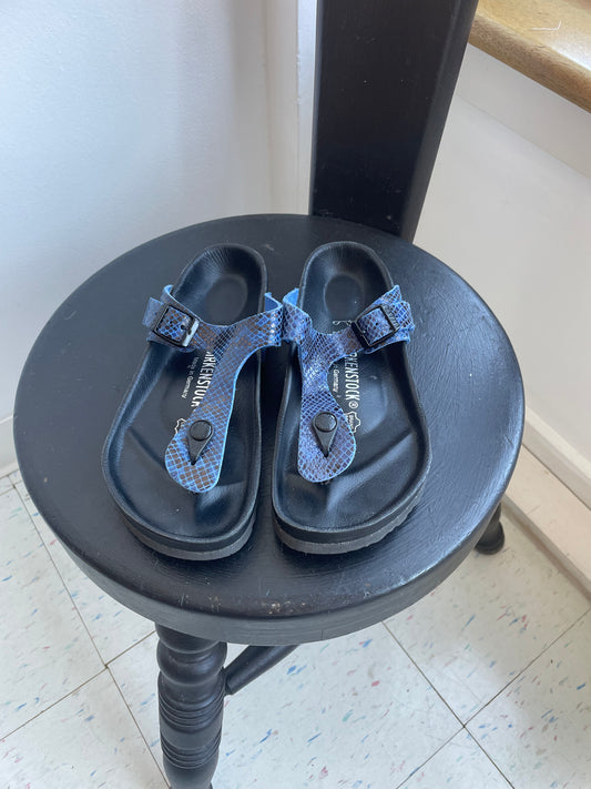 Leather Blue/Snake Birkenstocks