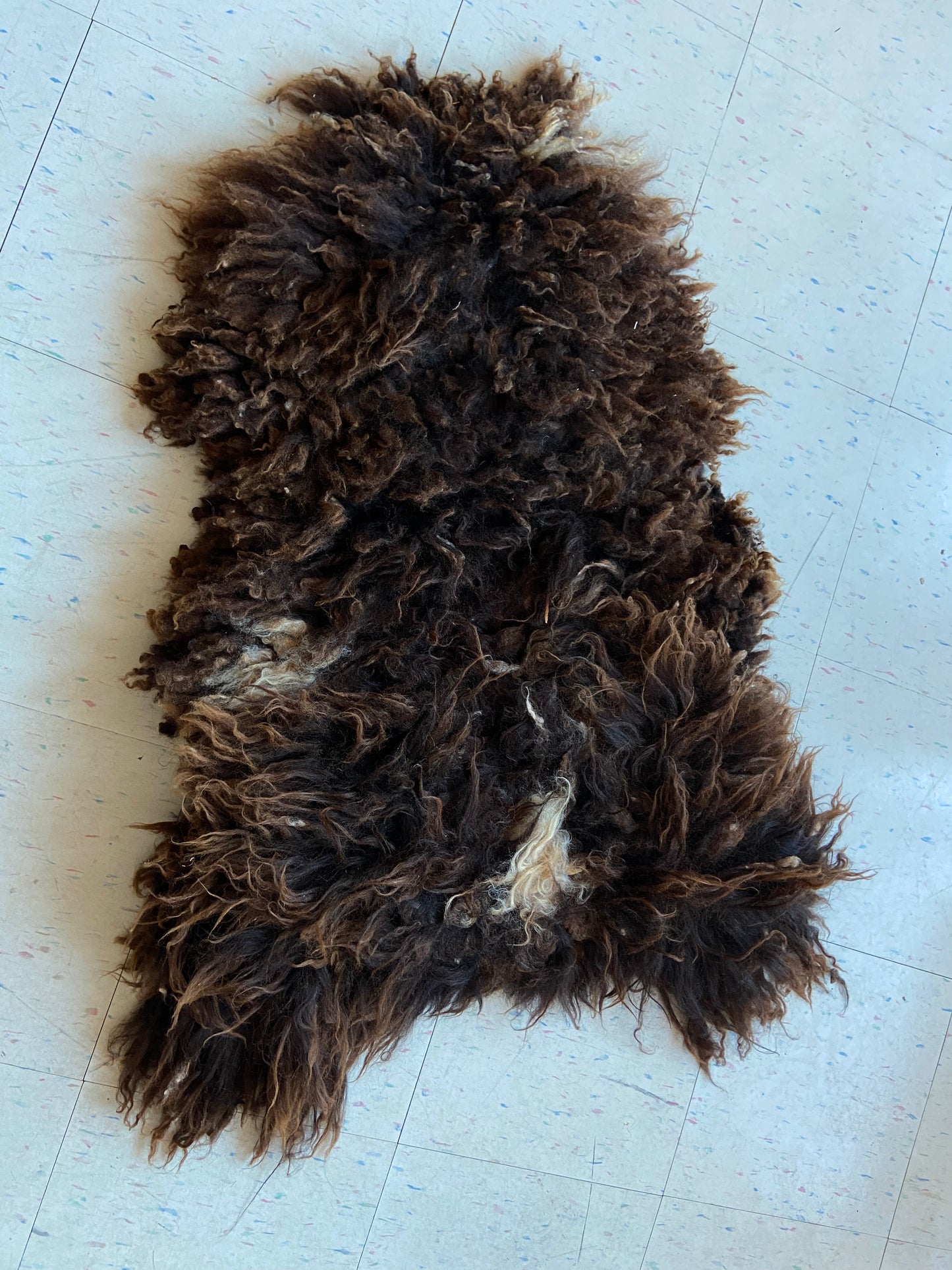 Vermont Sheep Skin