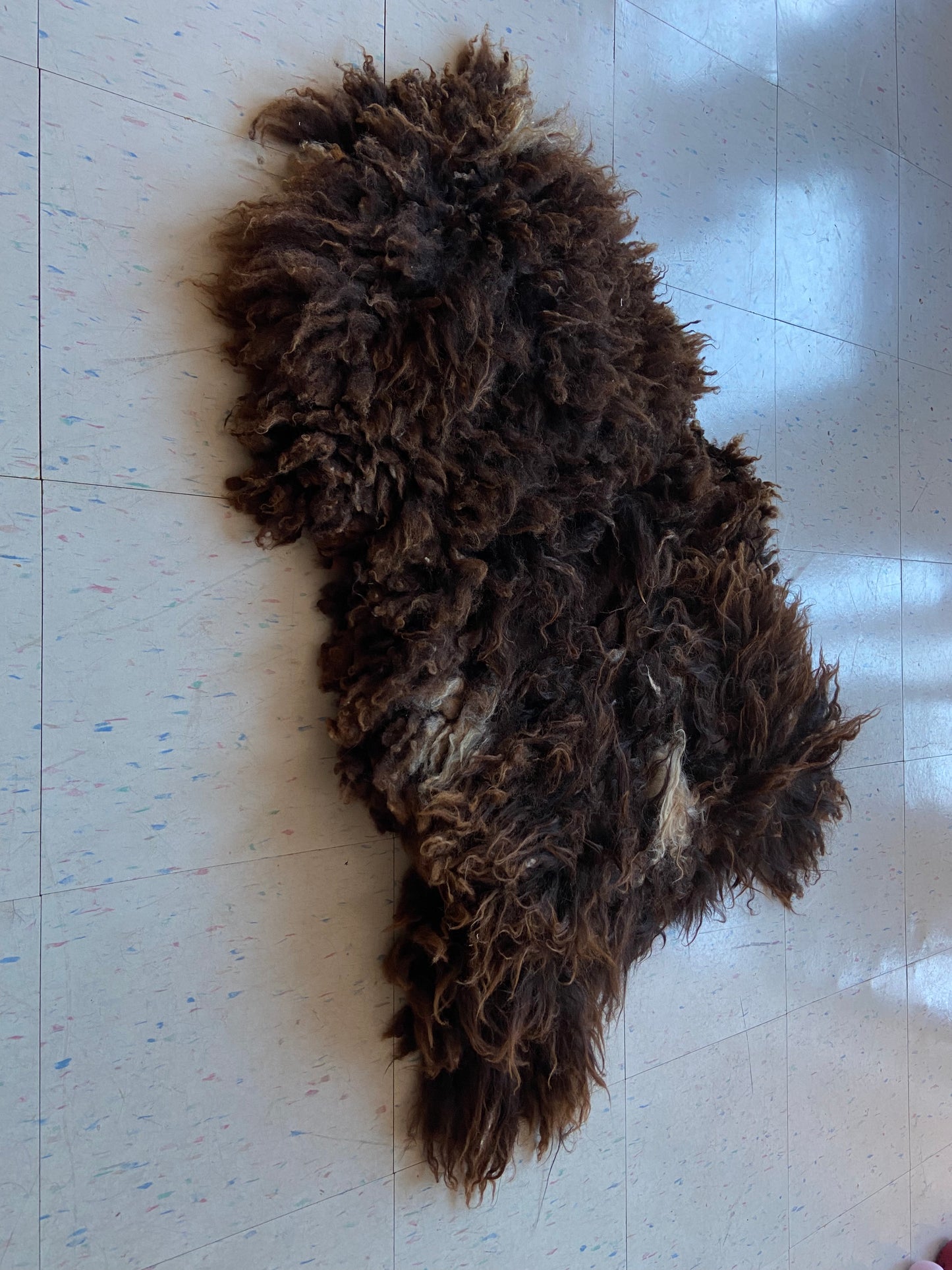 Vermont Sheep Skin