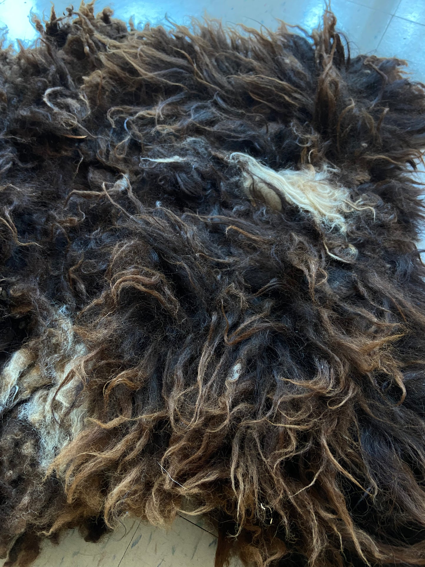 Vermont Sheep Skin