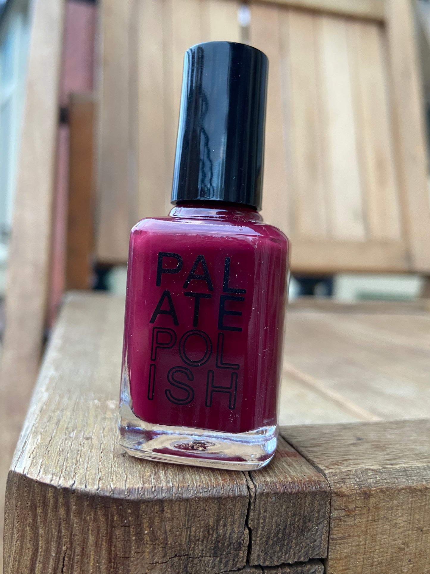 Palate Polish nail color Plum