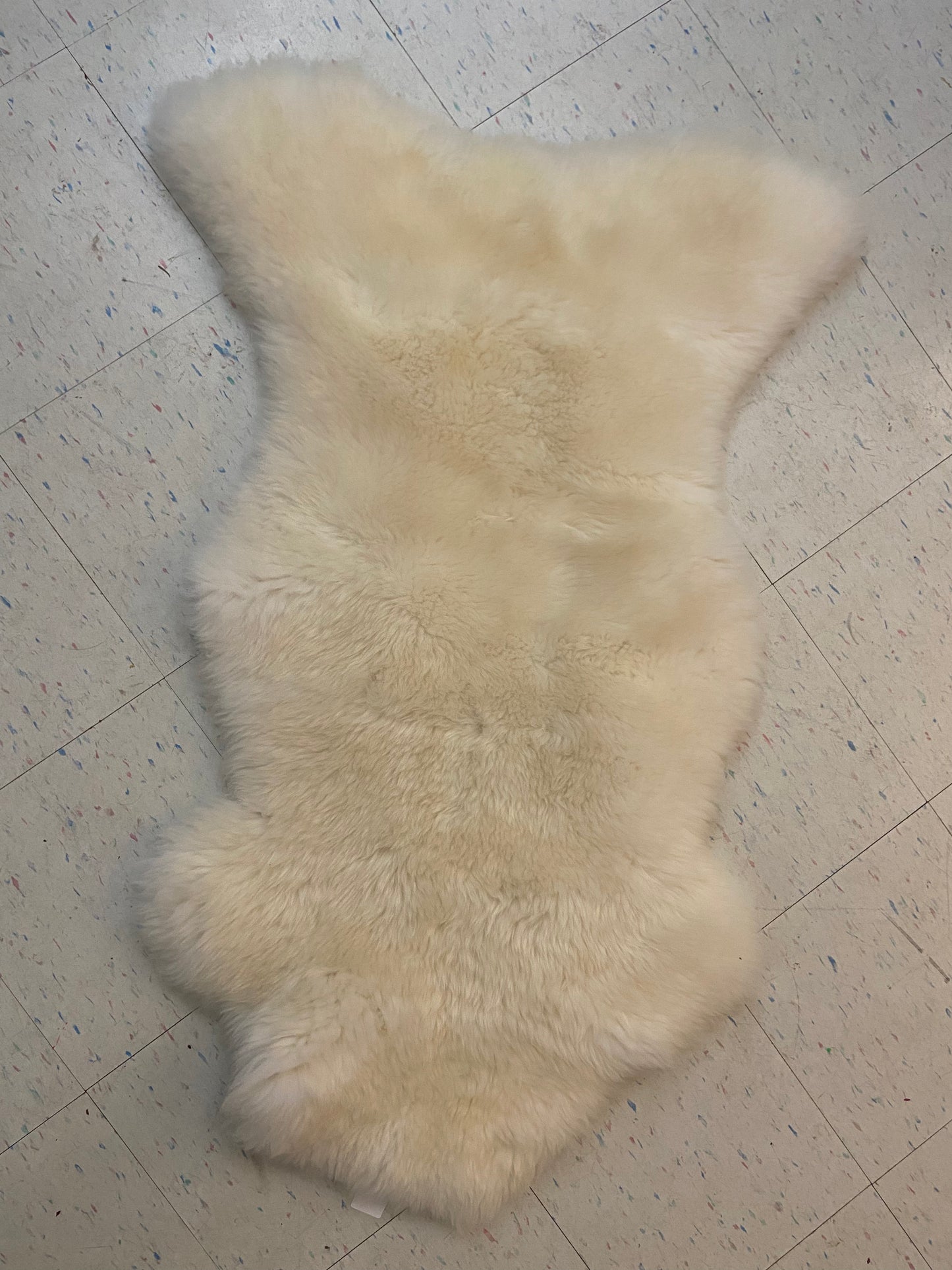 Sheep skin rug